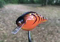 Image 4 of SPEEDBAITS Custom Airbrushed S-CRANK 1.5 Squarebill Crankbait  PRO CRAW