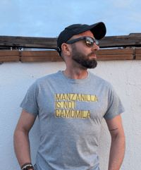 Image 2 of MANZANILLA T-SHIRT SLIM GREY EDITION