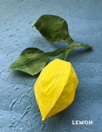 Paper Lemon