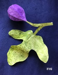 Paper Fig