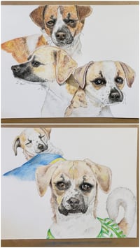 Pet Drawing (Color)