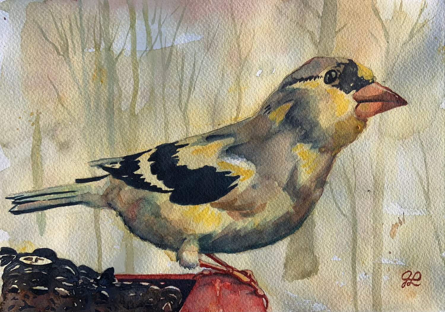 Image of Goldfinch