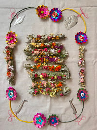 Image 3 of Sage Bundles