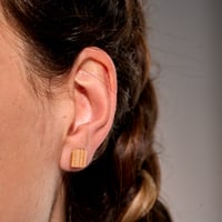 Image 2 of Lingottini - Larice