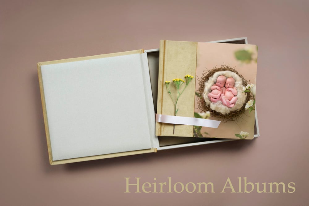 Image of Artwork Collections