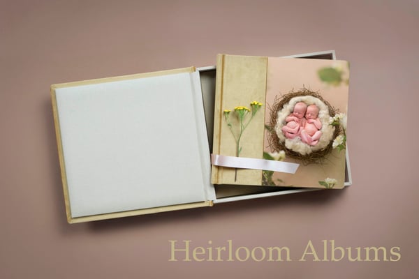 Image of Artwork Collections