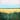 Step by Step painting class Bishopbriggs - Summer Barley - Saturday 31st May 2025