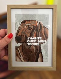 Image 2 of Cadre teckel