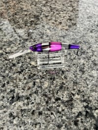 Pink-Purple Coral 7