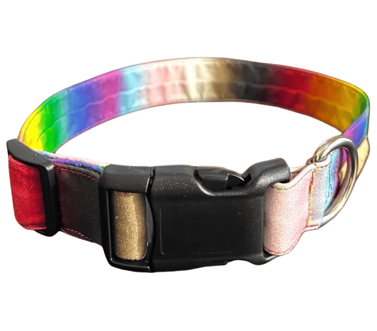 Image of Pride 365 Collection (5 Options)