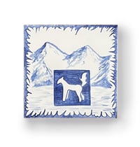 Image 1 of Pony Montaña