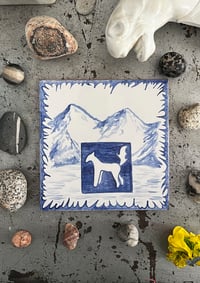 Image 3 of Pony Montaña