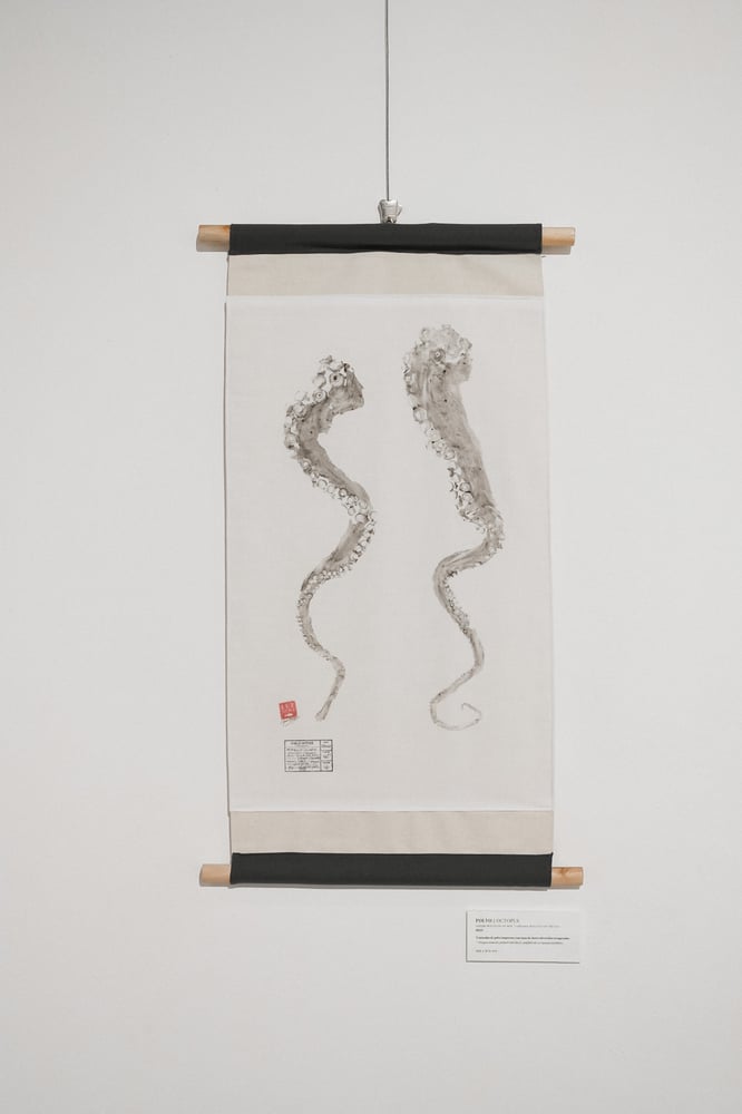 Image of Polvo | Octopus
