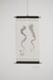 Image of Polvo | Octopus
