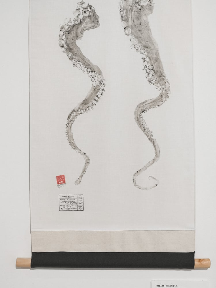 Image of Polvo | Octopus