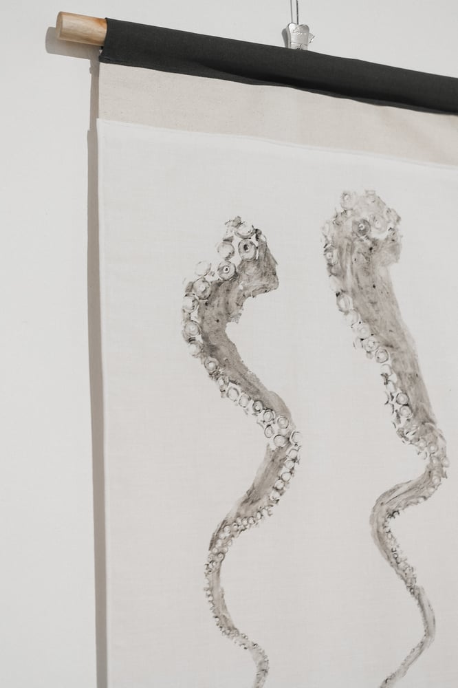 Image of Polvo | Octopus