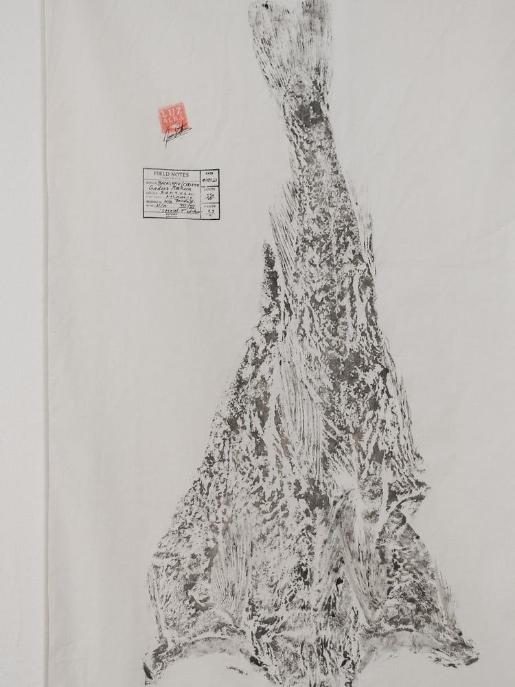 Image of Bacalhau | Cod Fish