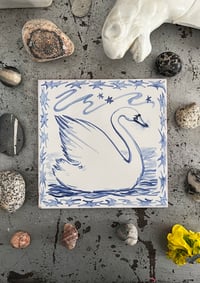 Image 3 of Swan swan