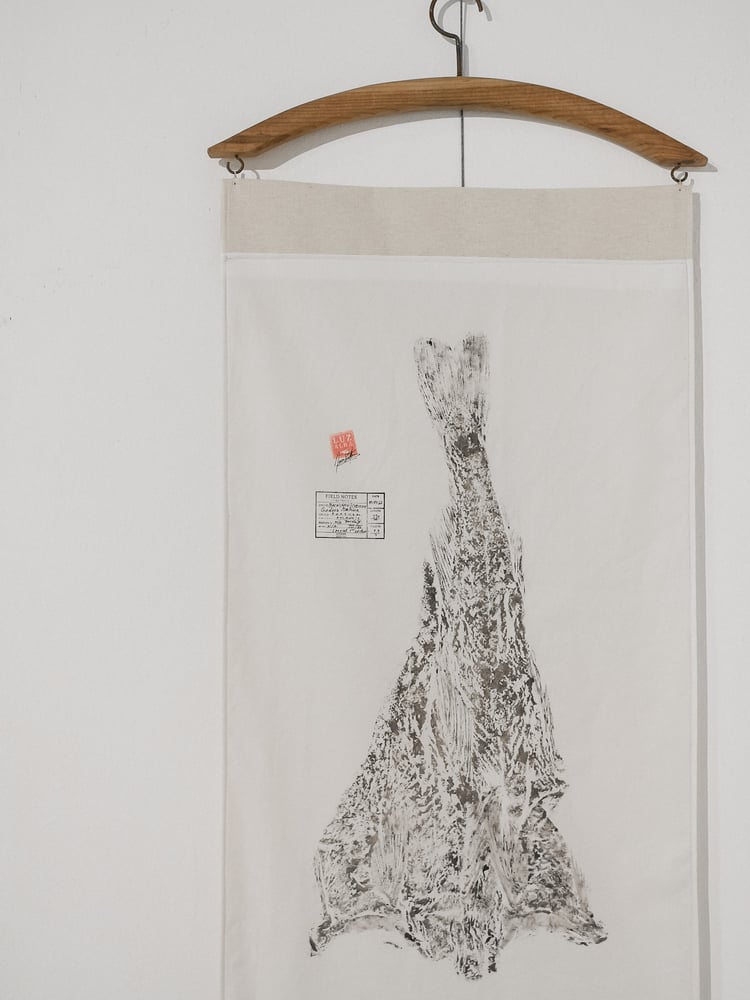 Image of Bacalhau | Cod Fish