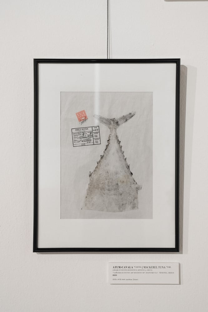 Image of Tuna's & Garoupa