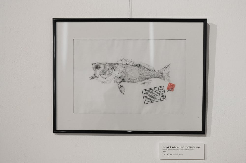 Image of Tuna's & Garoupa