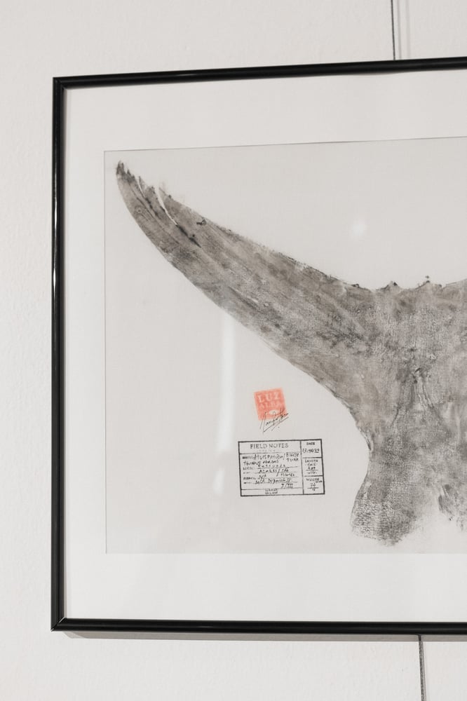 Image of Tuna's & Garoupa