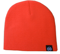 ICON SKULL CAP