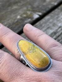 Image 4 of Bumblebee Jasper Ring