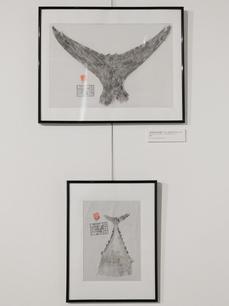 Image of Tuna's & Garoupa