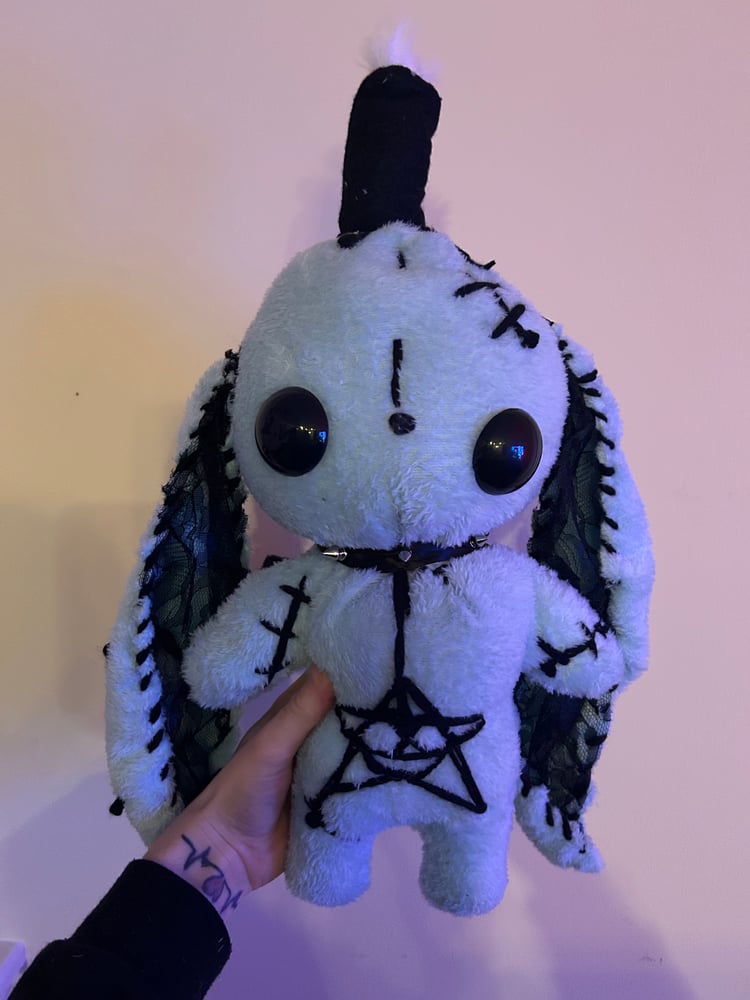 Image of Sigil gibbie