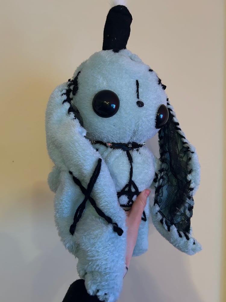 Image of Sigil gibbie