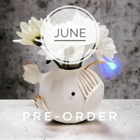 PRE-ORDER for Pasha. Shipped by June 16th