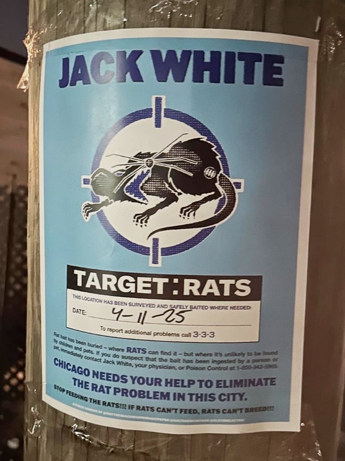 Image of Jack White, Target Rats Flier