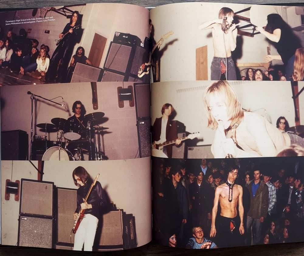 Total Chaos: The Story of the Stooges as Told by Iggy Pop, by Jeff Gold