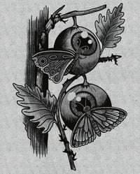 Image 2 of Beauty Feeds