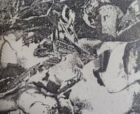 BESPOKE DECAY – C.L.A.S.S. (JANUS TAPES)