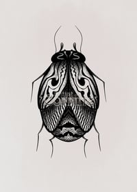 Little Beetle 4”x6”