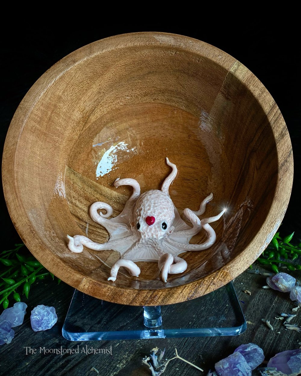 Octopus Sweeties 