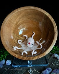 Image 1 of Octopus Sweeties 