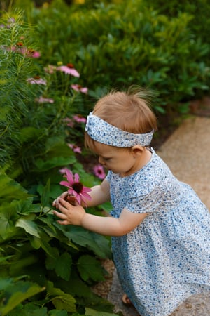 Image of Summertime Garden Minis