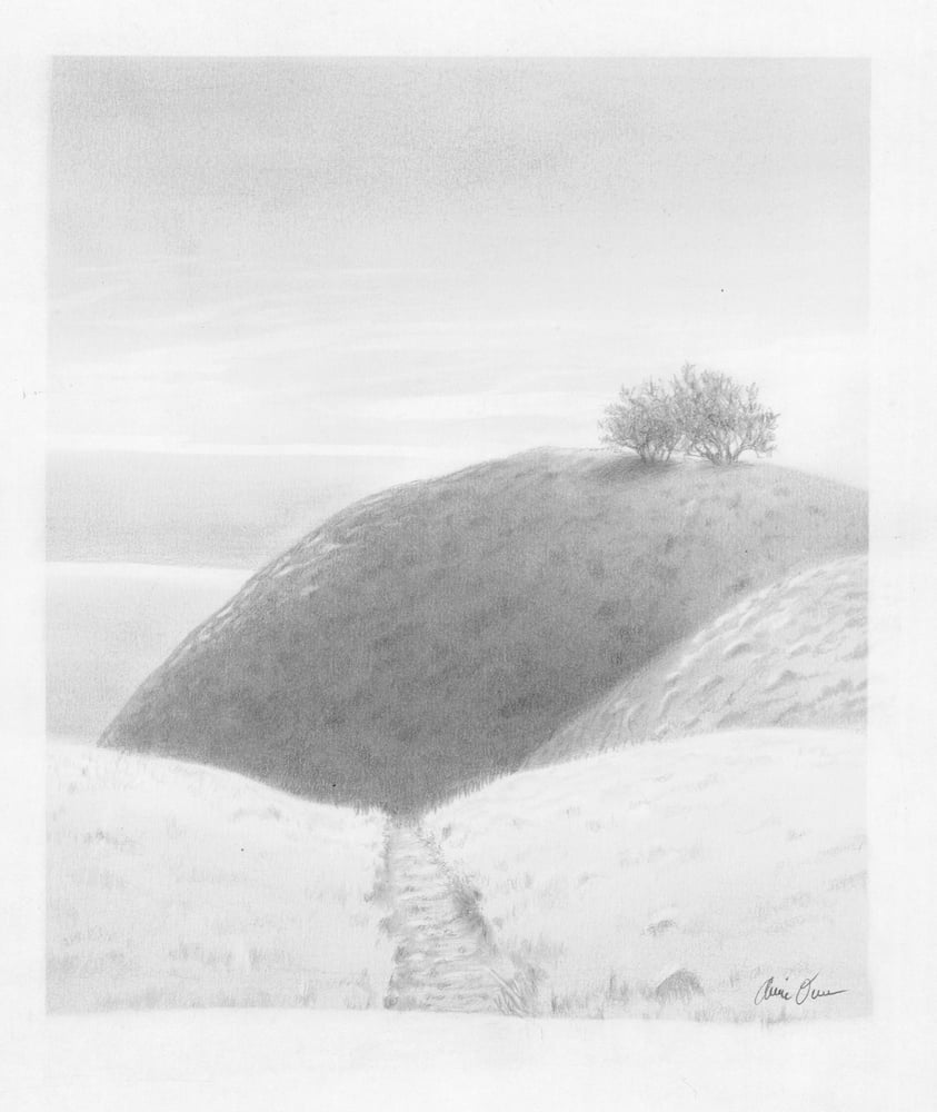 Image of "Bare Knoll, Mt. Tam", Graphite drawing