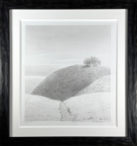 Image of "Bare Knoll, Mt. Tam", Graphite drawing