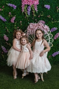 Image 1 of May Minis