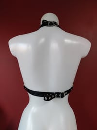 Image 12 of Cult Harness