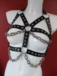 Image 10 of Cult Harness