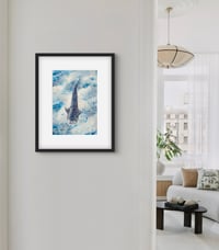 Image 2 of Whale shark #2