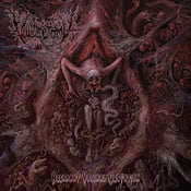 Image of Vulvectomy - Aberrant Vaginal Gestation - CD