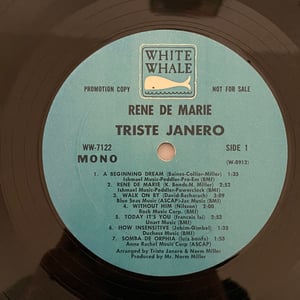 Image of Triste Janero "Meet"