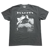 Image 2 of HUM 