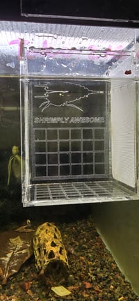 Image 5 of Shrimply Awesome Isolation Box